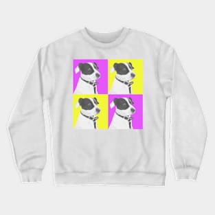 Gizmo in Yellow and Pink Crewneck Sweatshirt